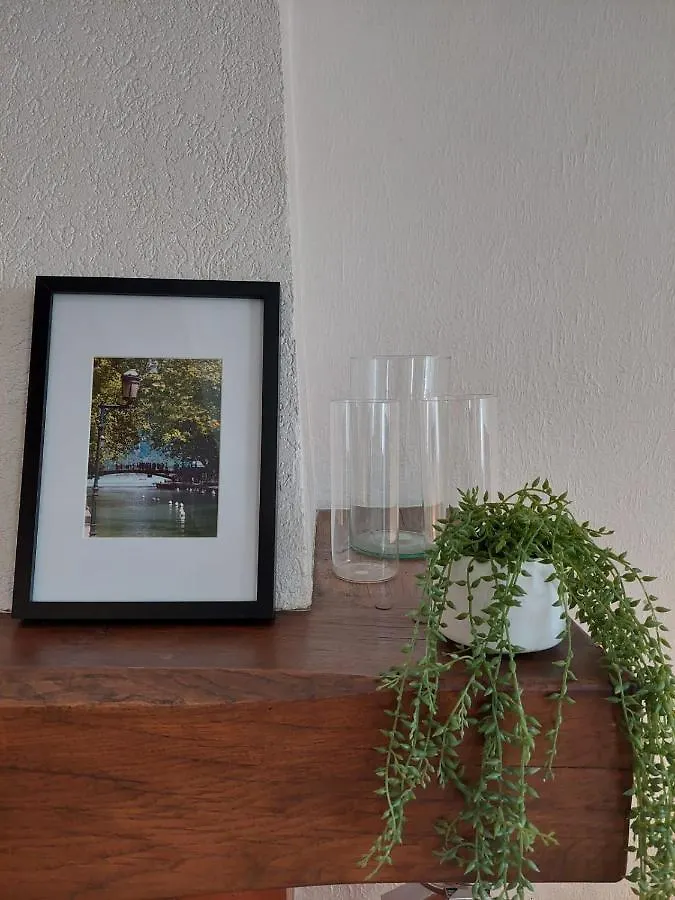 Le Vintage - Appartement En Plein Coeur De La Vieille Ville Annecy